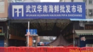 海關(guān)總署重拳出擊 斬?cái)嘁吧鷦?dòng)物走私，海鮮市場(chǎng)規(guī)范化